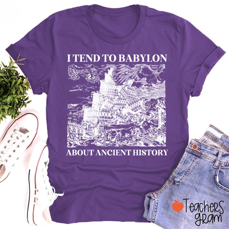 I Tend To Babylon About Ancient History Teacher T-Shirt