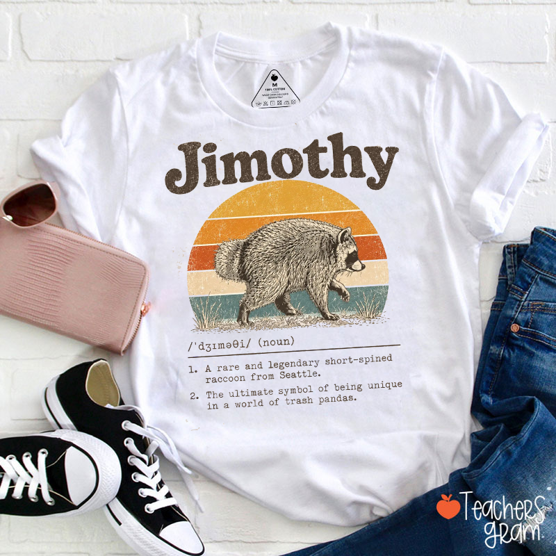 Vintage Sunset Raccoon Definition Graphic Teacher T-Shirt