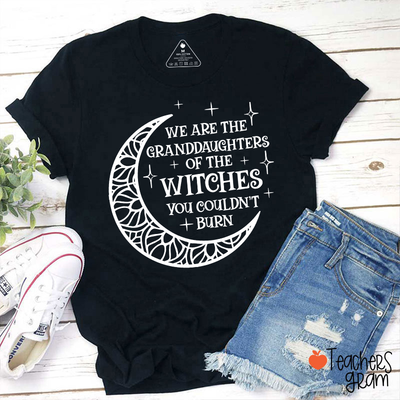 The Witches You Couldn't Burn Teacher T-Shirt