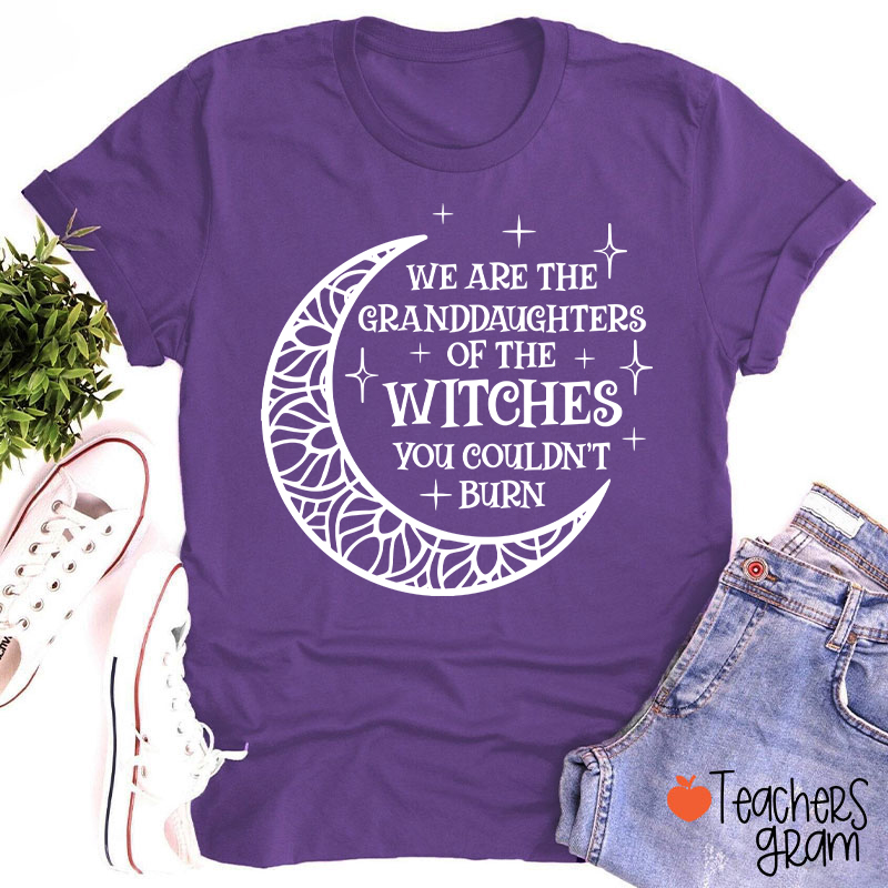 The Witches You Couldn't Burn Teacher T-Shirt