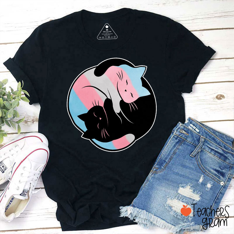 Yin Yang Cats Pride Flag Colors Teacher T-Shirt