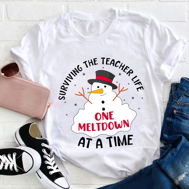 Surviving The Teacher At A Time Teacher T-Shirt