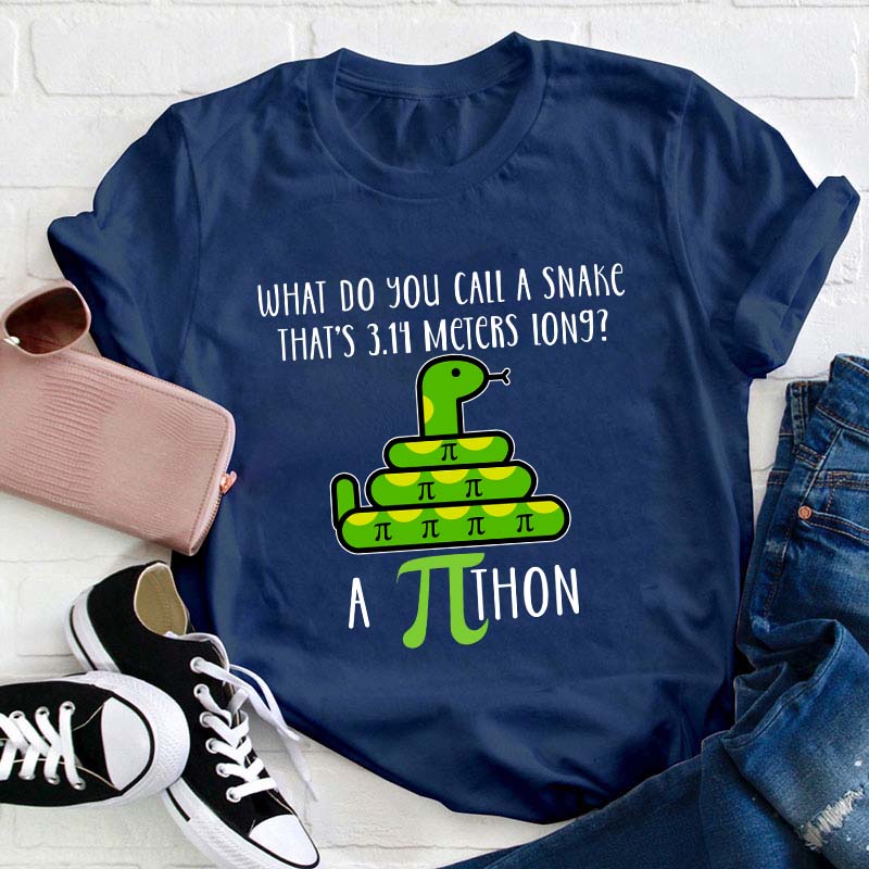 What Do You Call A Snake Teacher T-Shirt