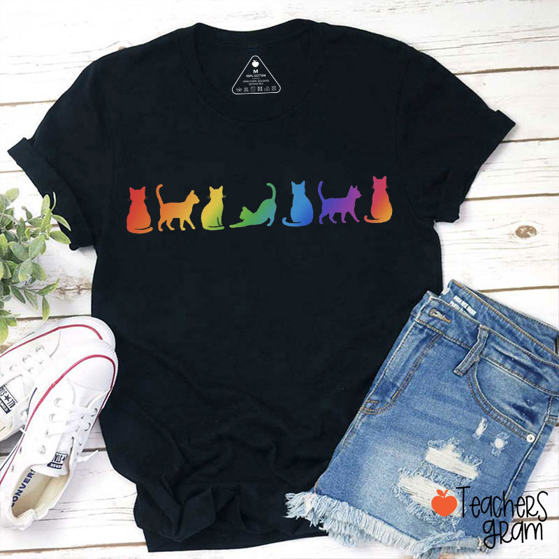 Pride Cat Teacher T-Shirt