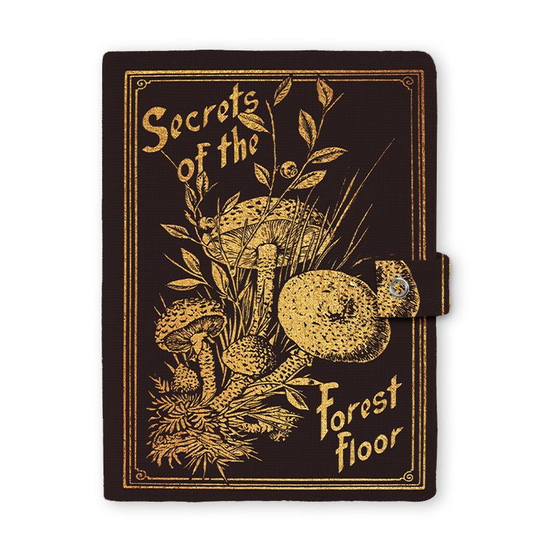 Secrets Of The Forest Floor Book Bag Teacher Book Cover