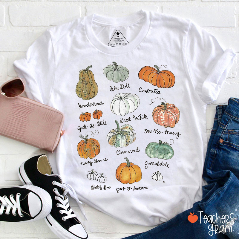 Cute Fall Various Pumpkin Teacher T-Shirt