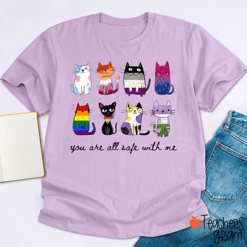 Rainbow Color Cats You Are All Safe With Me Teacher T-Shirt
