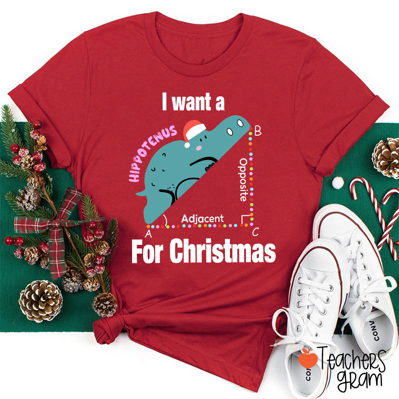 I Want A Hippotenus For Christmas Teacher T-Shirt