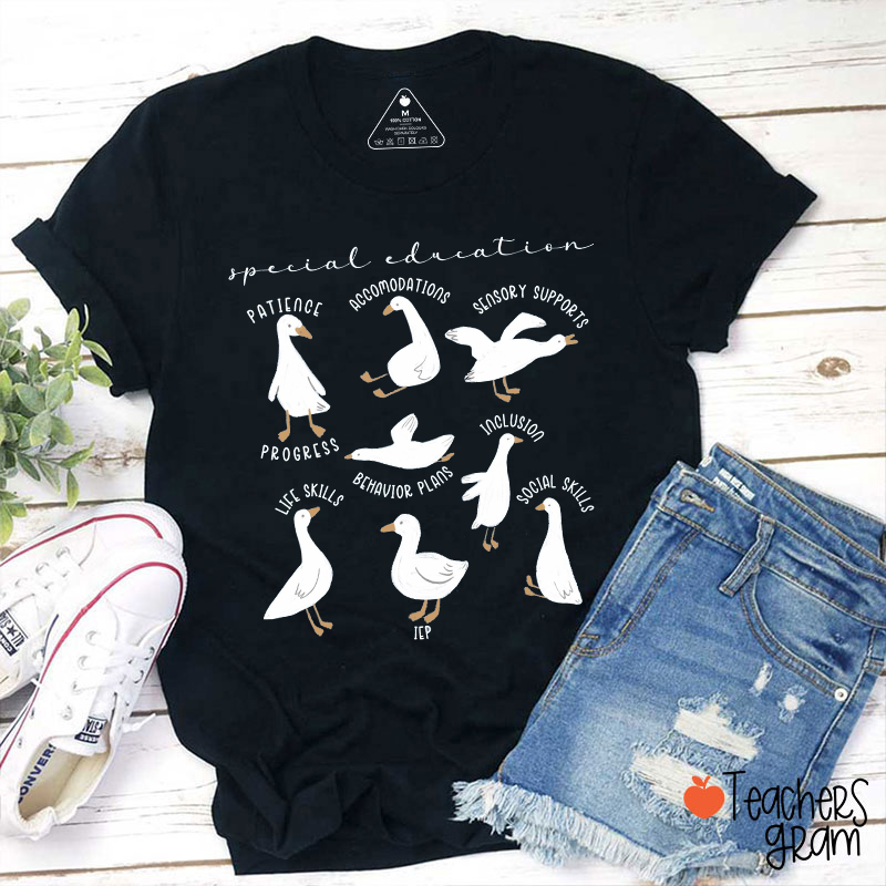 Special Educational Needs Teacher T-Shirt