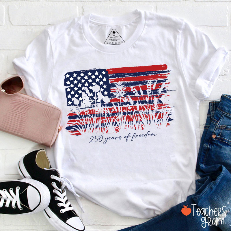 Land Of The Free Home Of The Brave Teacher T-Shirt