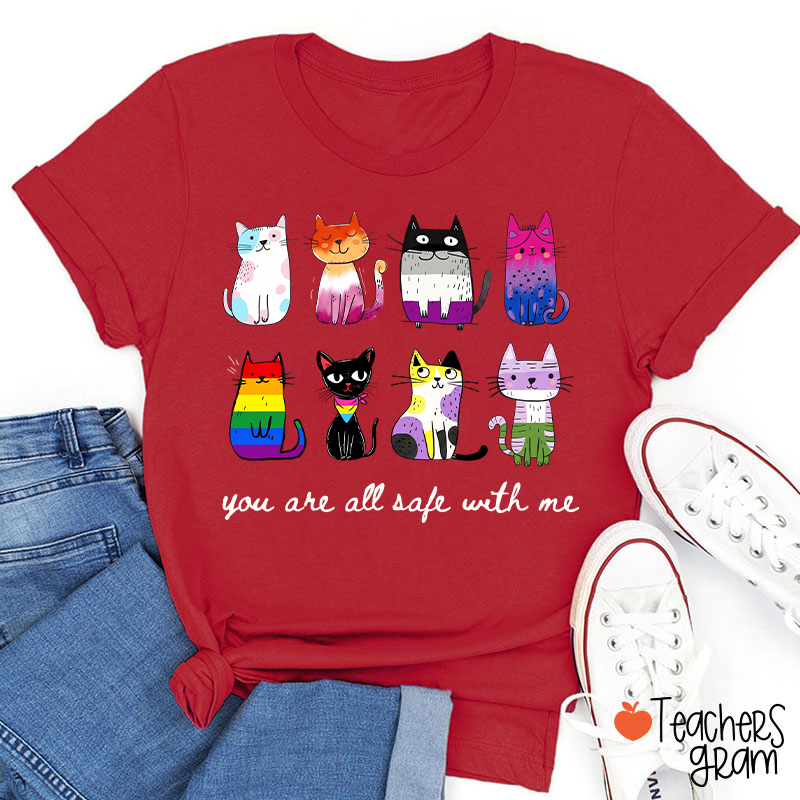 Rainbow Color Cats You Are All Safe With Me Teacher T-Shirt