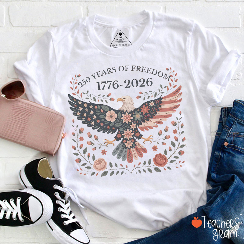 Folk Art Eagle Teacher T-Shirt