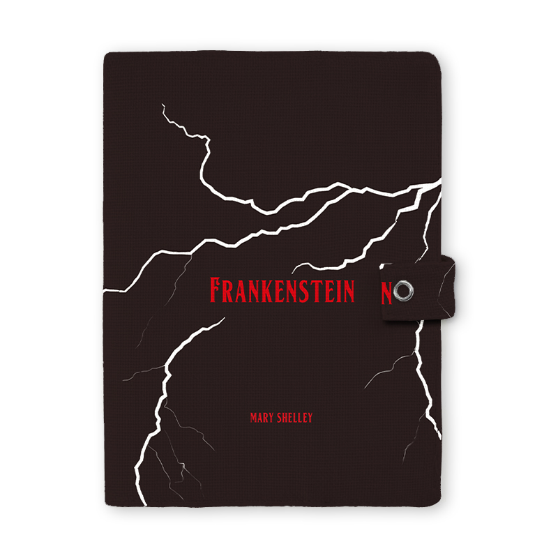Frankenstein Teacher Book Cover