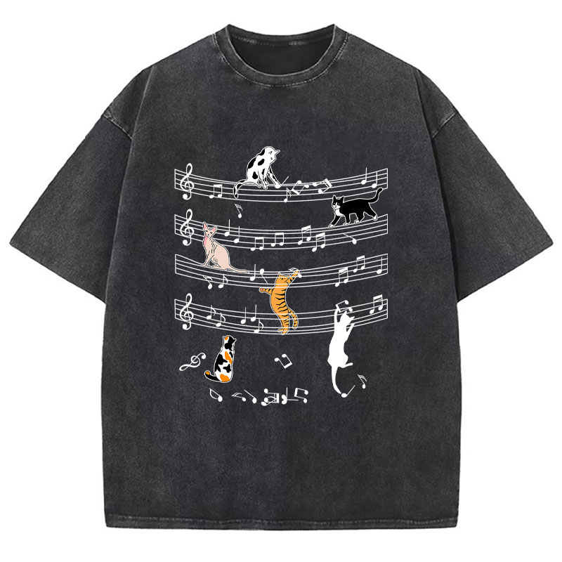 Cats And Music Teacher Washed T-Shirt