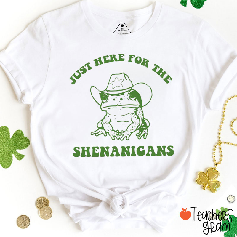 Just Here For The Shenanigans Teacher T-Shirt