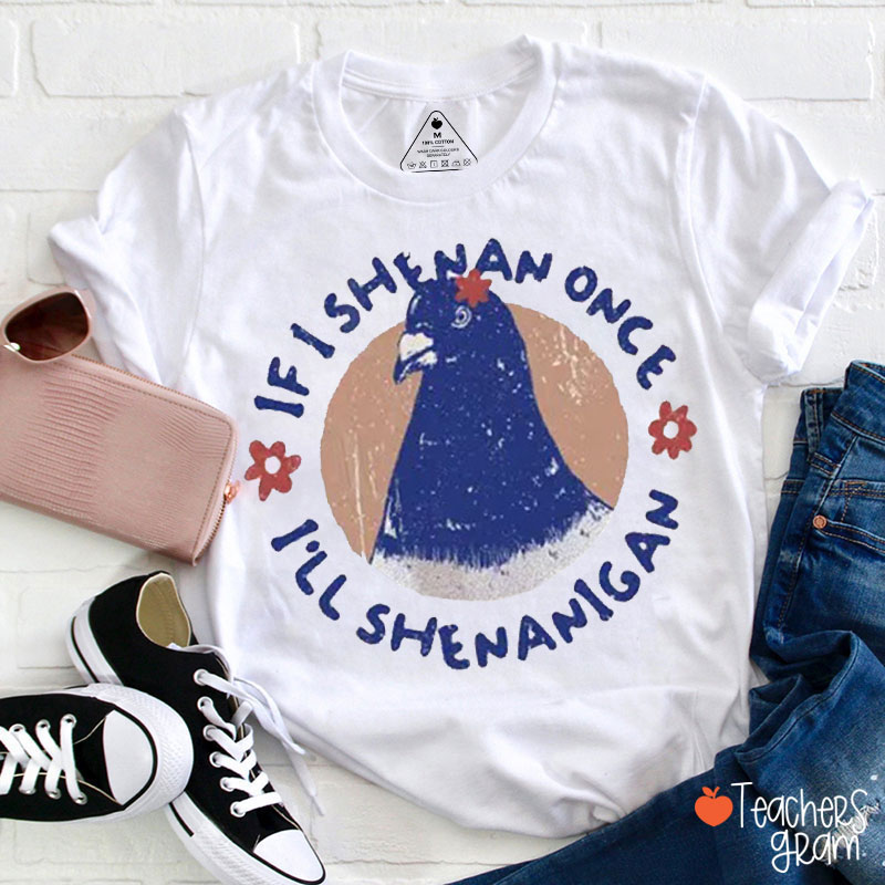 Silly Pigeon If I Shenan Once I'll Shenanigan Teacher T-Shirt