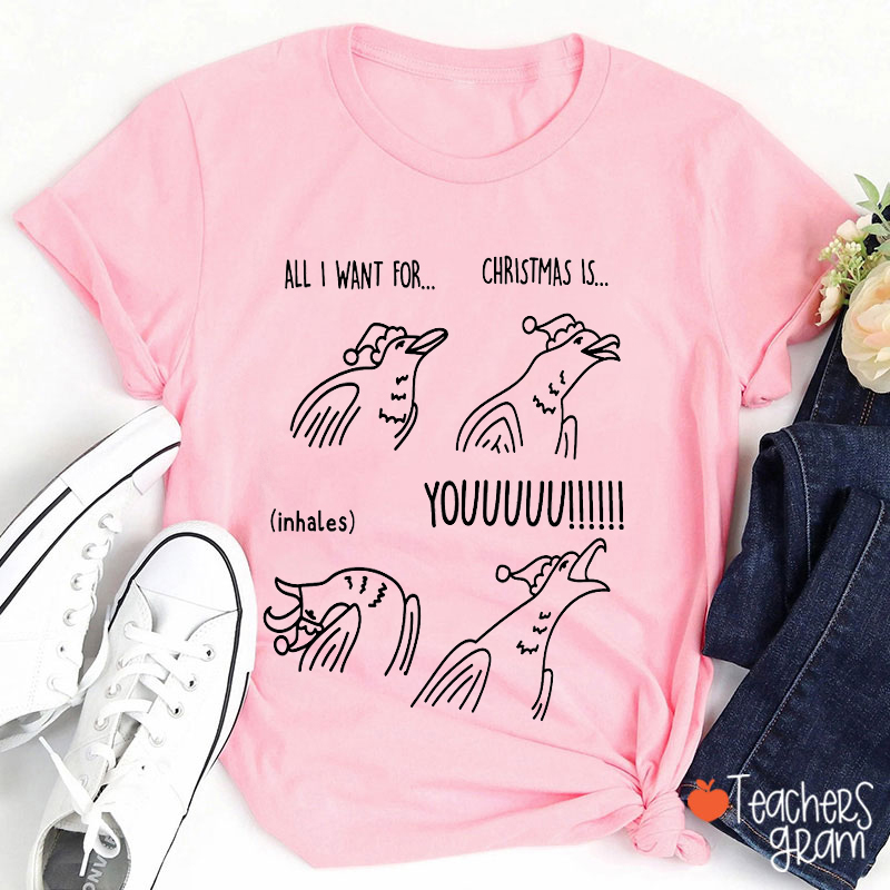 All I Want For Christmas Is Youuuuu Teacher T-Shirt