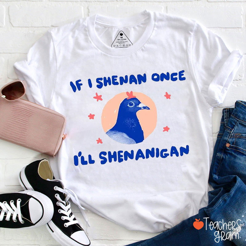 Funny Pigeon If I Shenean Once Teacher T-Shirt