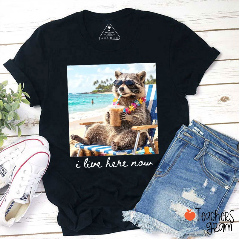 Summer Vibes Beachside I Live Here Now Teacher T-Shirt