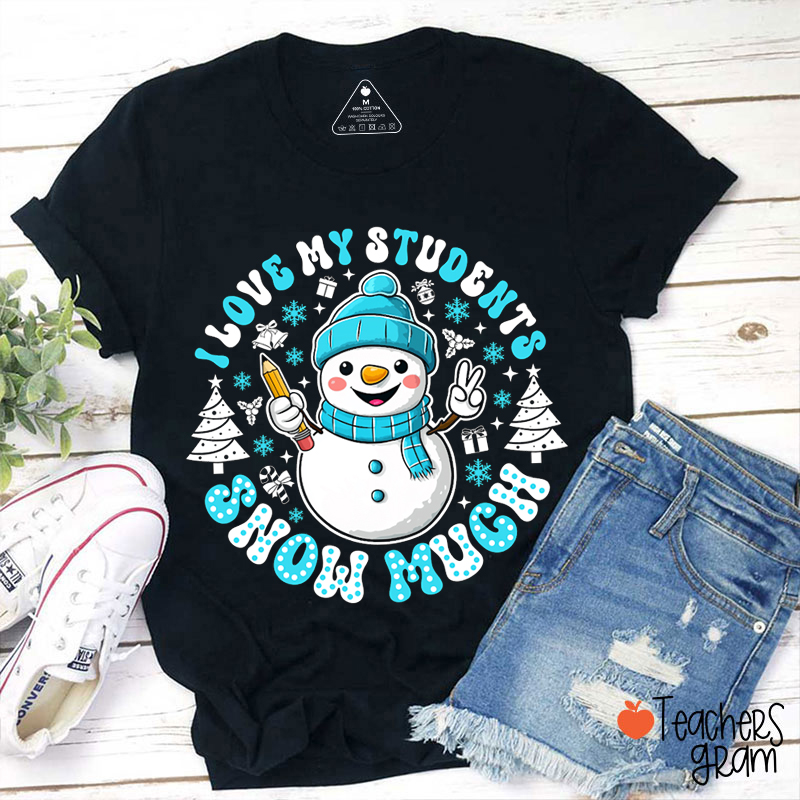 I Love My Students Snow Much Teacher T-Shirt