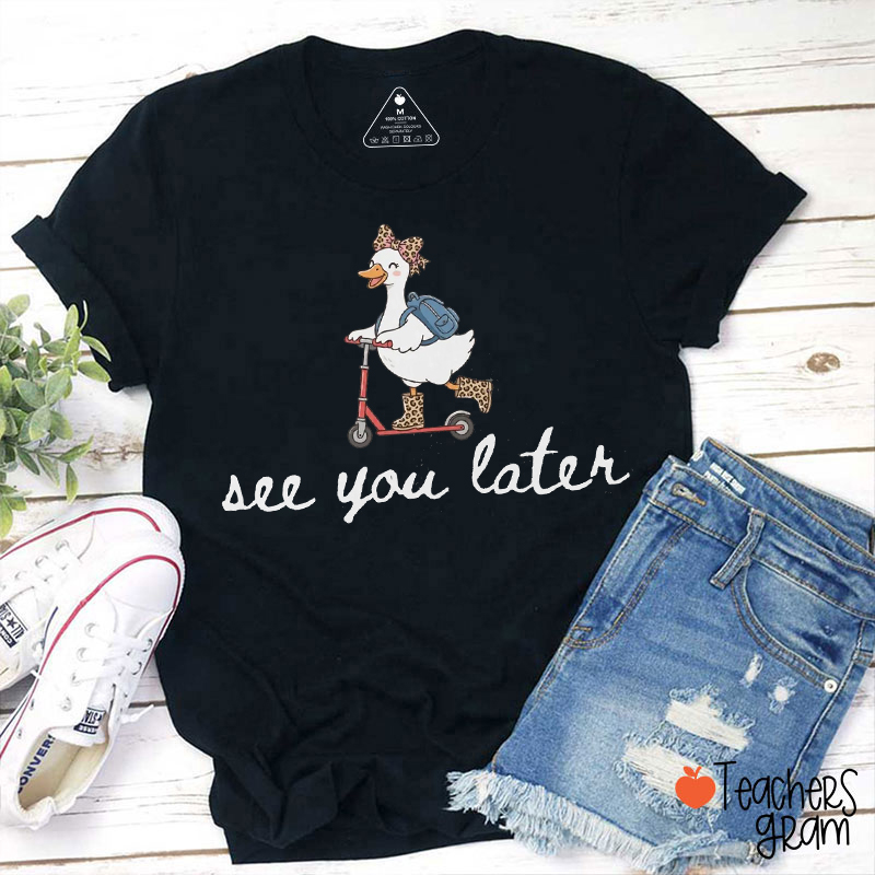 See You Later Silly Goose Teacher T-Shirt