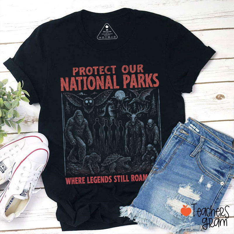 Protect Our National Parks Retro Teacher T-Shirt