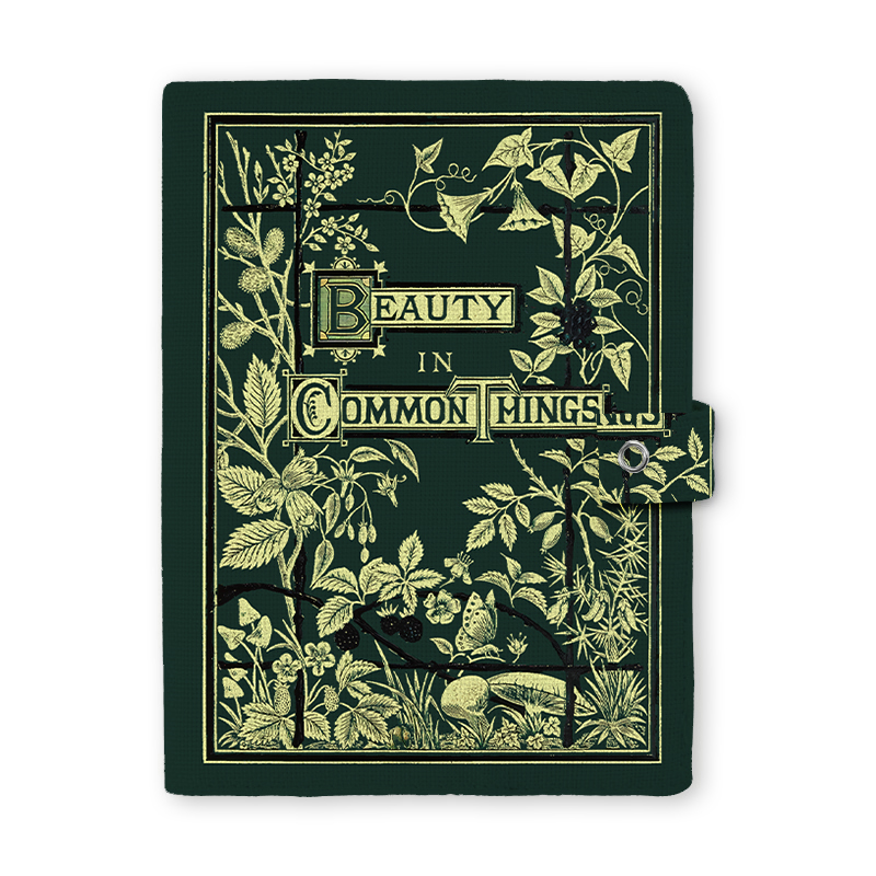 Beauty In Common Things Teacher Book Cover