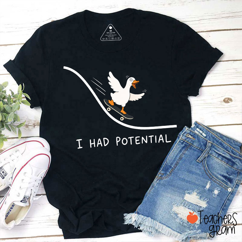 Silly Goose I Had Potential Teacher T-Shirt