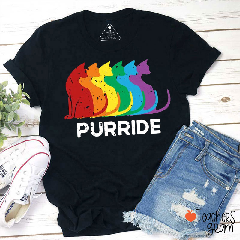 Purride Rainbow Cats Teacher T-Shirt
