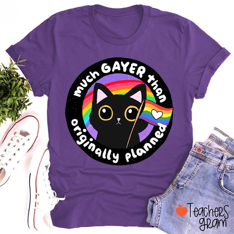 Rainbow Black Cat Teacher T-Shirt