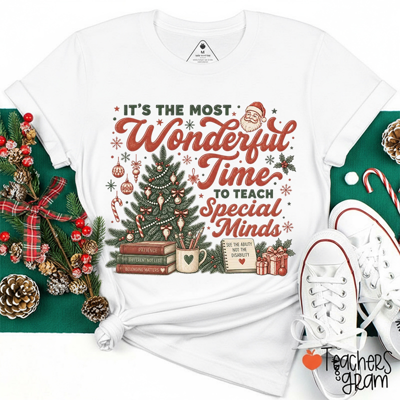 It's The Most Wonderful Time To Teach Special Minds Holiday Teacher T-Shirt
