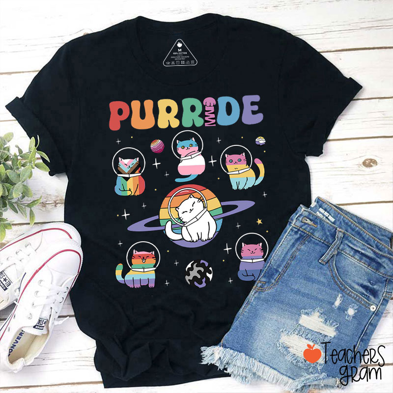 Cutre Cat Purride Rainbow Color Pride Teacher T-Shirt