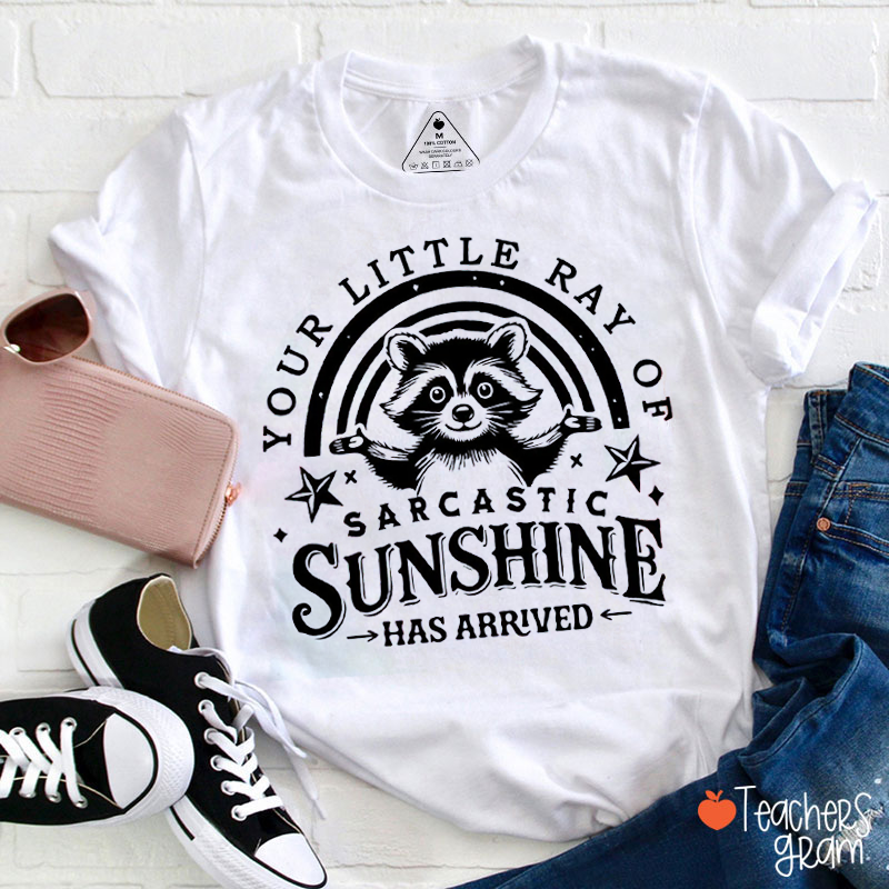 Sarcastic Raccoon Sunshine Funny Teacher T-Shirt