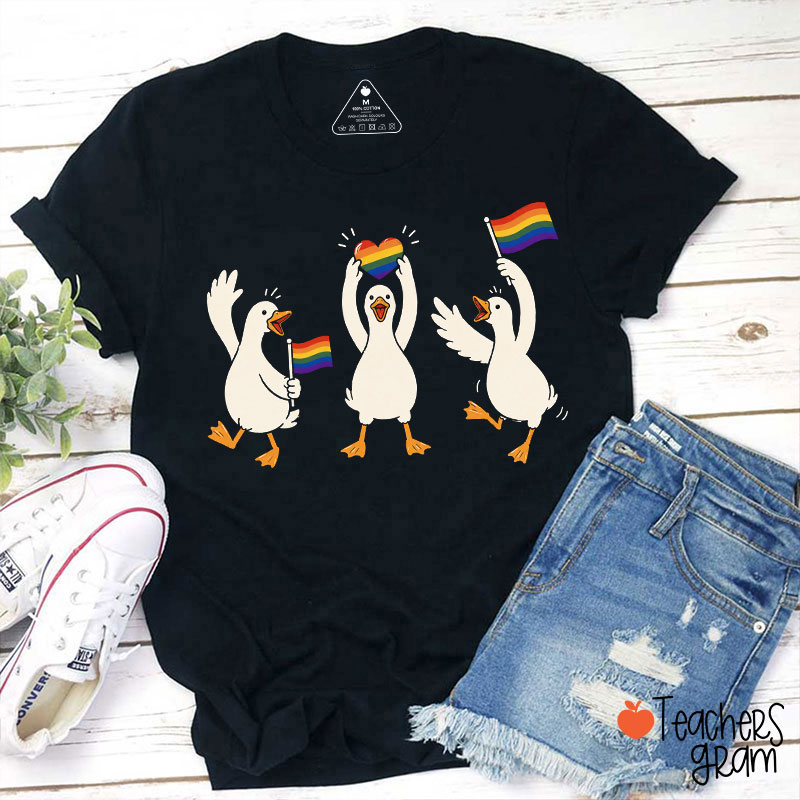 Rainbow Silly Goose Teacher T-Shirt