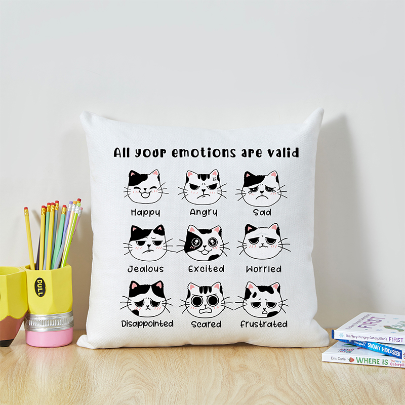 All Your Emotions Are Valid Meow Teacher Cushion