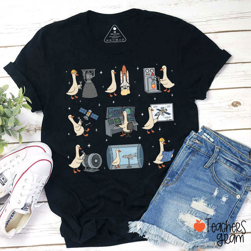 Aerospace Engineer Silly Goose Teacher T-Shirt