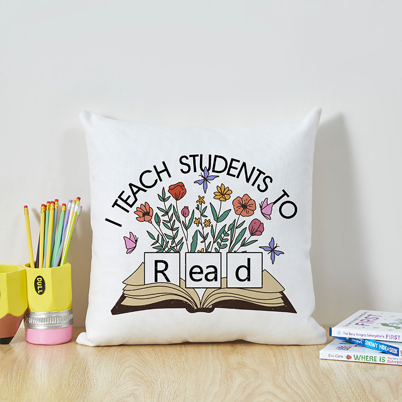 I Teach Students To Read Teacher Cushion