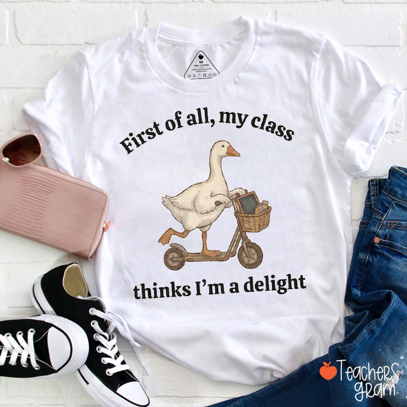 Silly Goose Scooter Teacher Quote Teacher T-Shirt