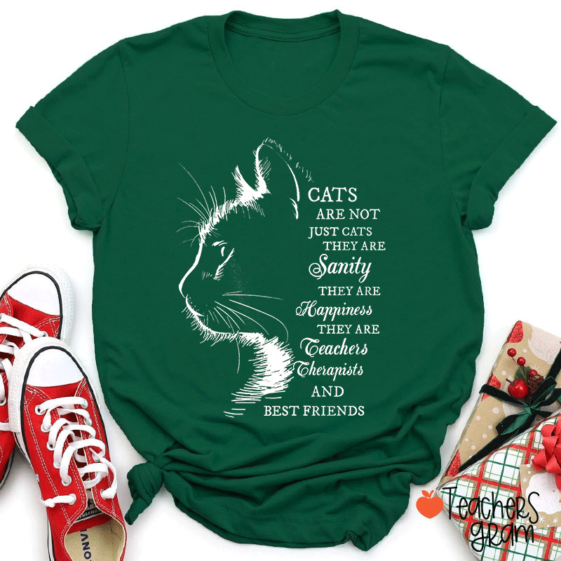 Cats Are Not Just Cats Teacher T-Shirt