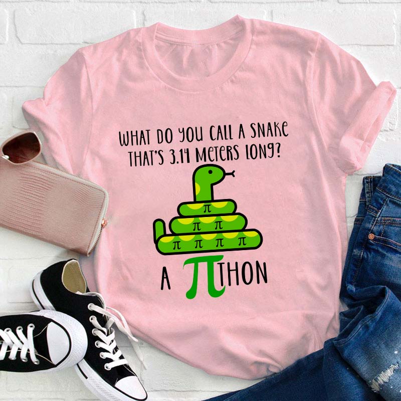 What Do You Call A Snake Teacher T-Shirt