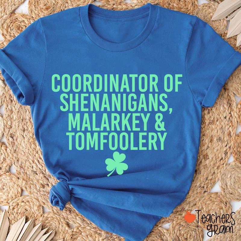 Coordinator Of Shenanigans Teacher T-Shirt
