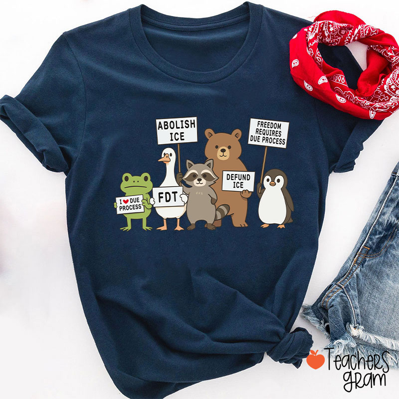 Abolish Ice Goose Comfort Colors Teacher T-Shirt