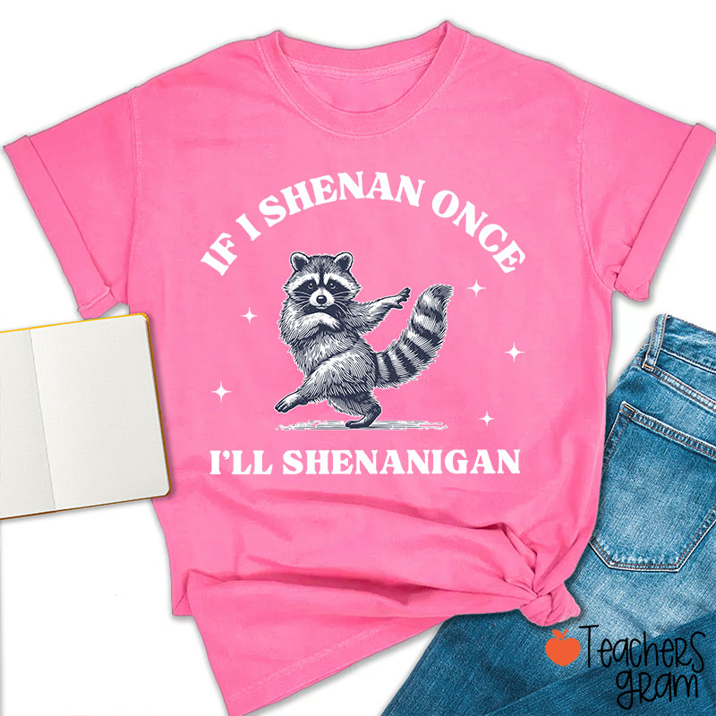 If I Shenan Once I'll Shenanigan Raccoon Teacher T-Shirt