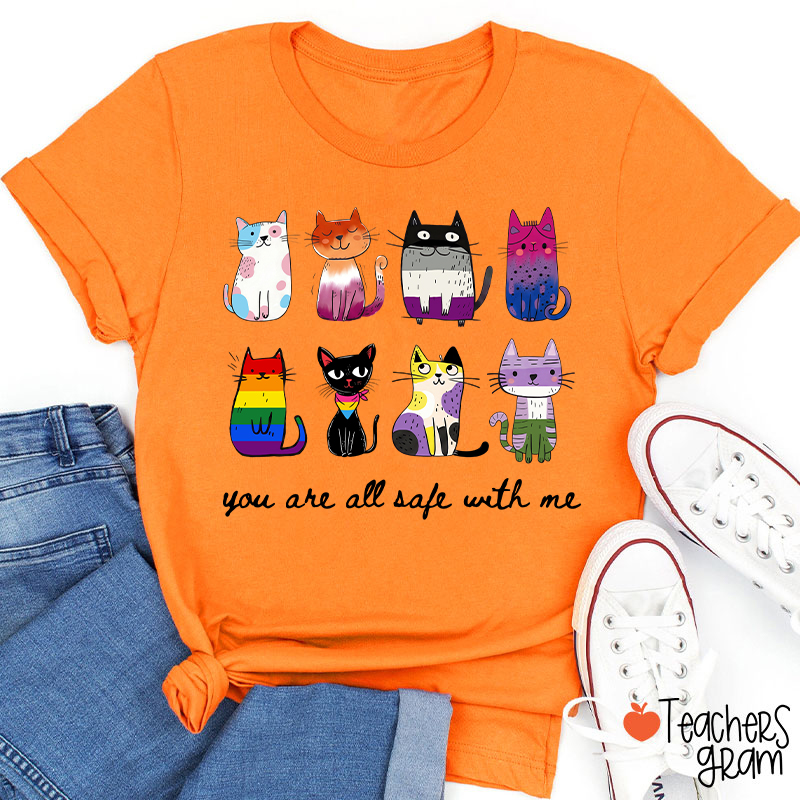 Rainbow Color Cats You Are All Safe With Me Teacher T-Shirt
