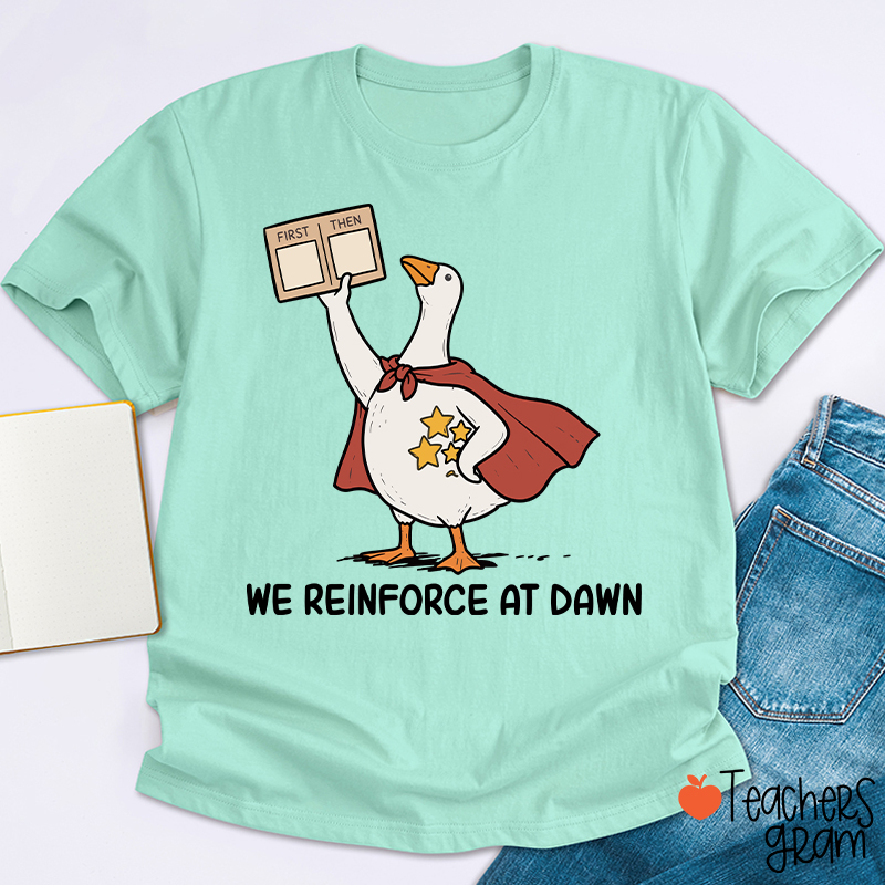We Reinforce At Dawn Silly Goose Cape Star Chart Teacher T-Shirt