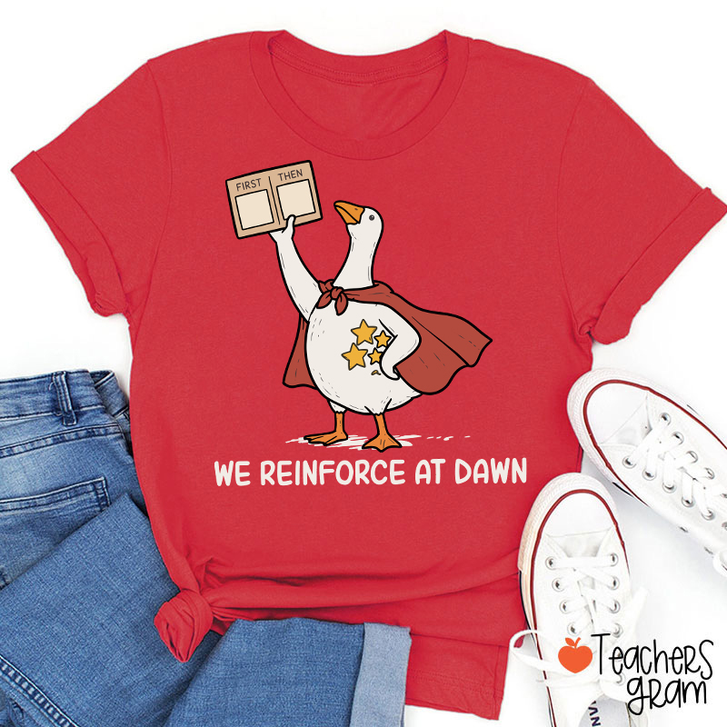 We Reinforce At Dawn Silly Goose Cape Star Chart Teacher T-Shirt