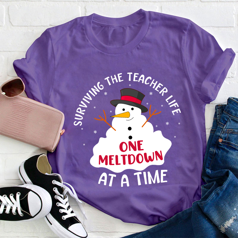Surviving The Teacher At A Time Teacher T-Shirt