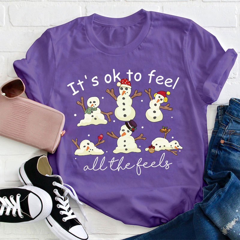 It's Ok To Feel All The Feels Teacher T-Shirt