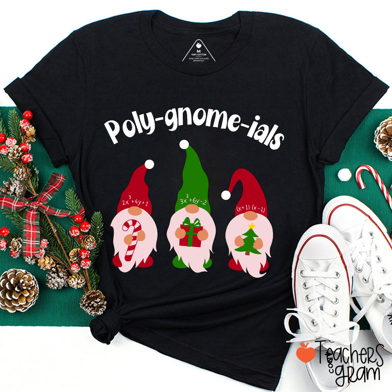 Poly Gnome Ials Math Teacher T-Shirt