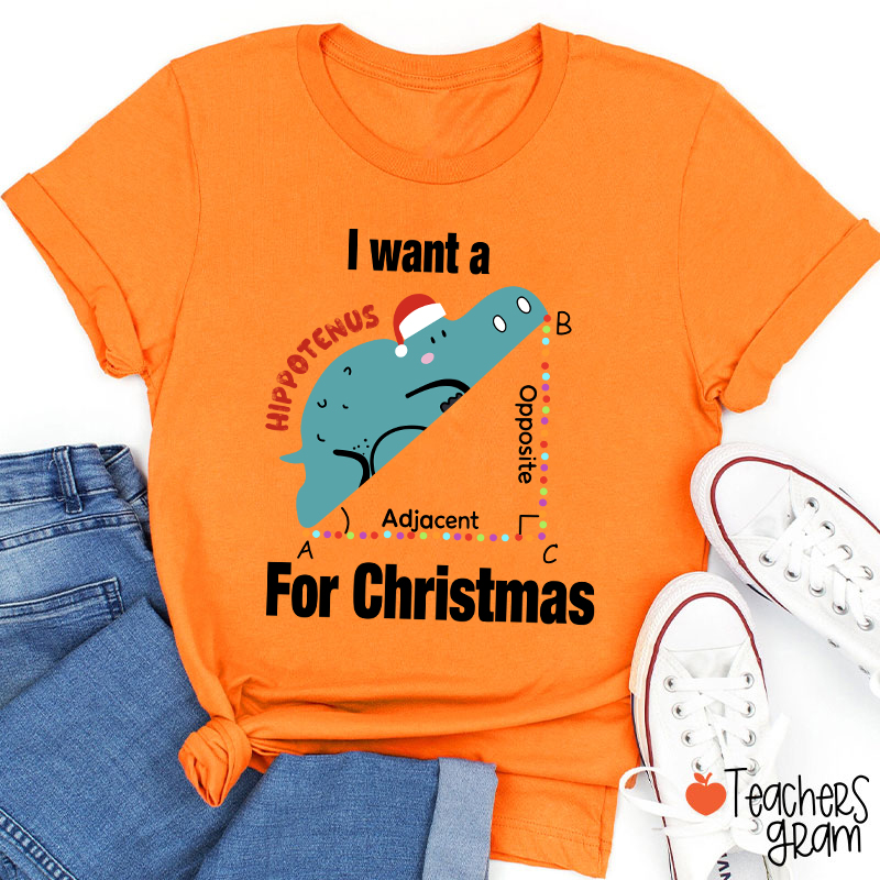 I Want A Hippotenus For Christmas Teacher T-Shirt